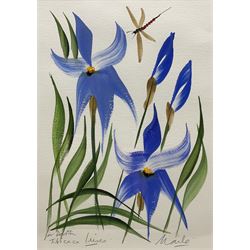 Ben Maile (British 1922-2017): 'Titicaca Iris', gouache signed titled and inscribed 'For Dorothy' 36cm x 25cm 
Provenance: a gift to the vendor from the artist