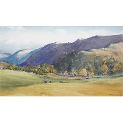 Brian Irving (British 1931-2013): Sheep 