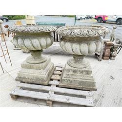 Pair of large weathered Country House Haddonstone garden urns, acanthus carved rim above gadrooned bowl, beaded detailing to the neck, raised on stepped double plinth base
