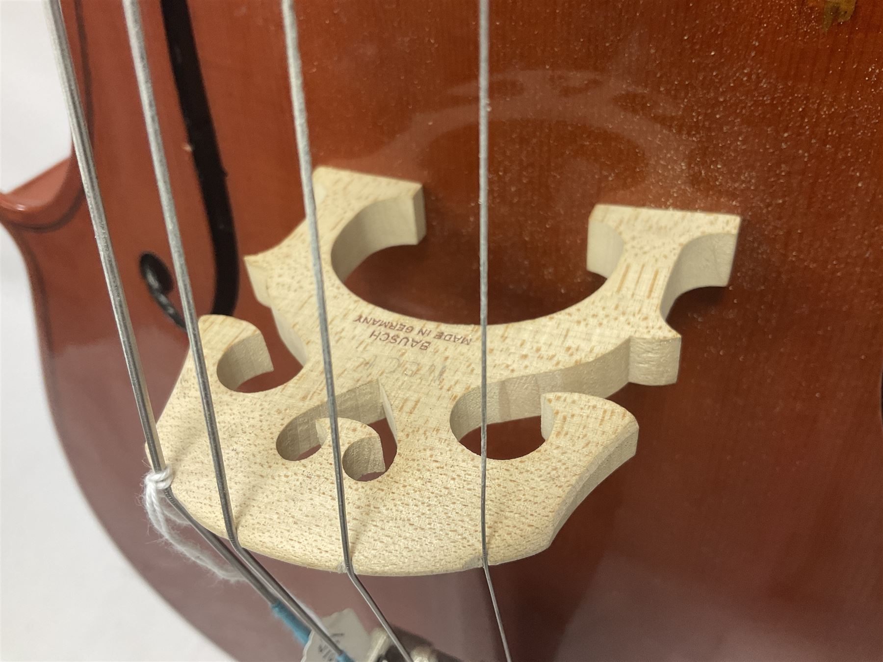 Gear 4 Music full size cello with a maple back and ribs and spruce top, ebony fittings and fingerboard, with two bows in hard case Length 123cm