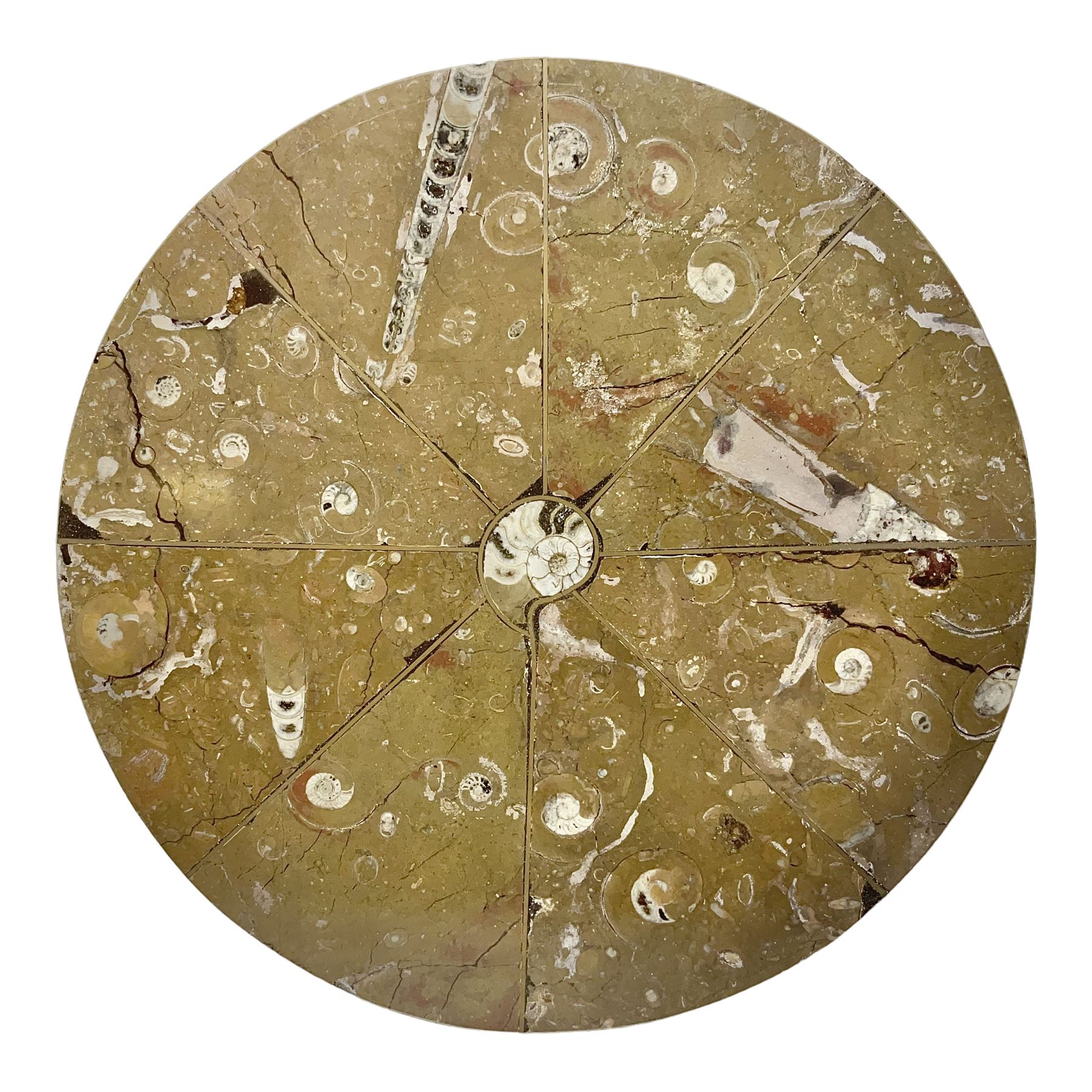Circular limestone table top, with Orthoceras and Goniatite inclusions; age: Upper Devonian, location: Morocco, D45cm
