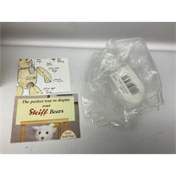 Modern Steiff teddy bear - The Millenium Bear No.34709 with golden pendant H32cm; in original box with paperwork; together with a Steiff ball-point pen in case sent to the vendor as compensation for a delay in receiving the bear.