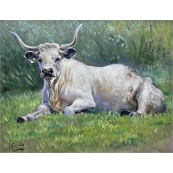 Malcolm Coward (British 1948-): Longhorn Cow at Rest, oil on canvas signed 34cm x 45cm