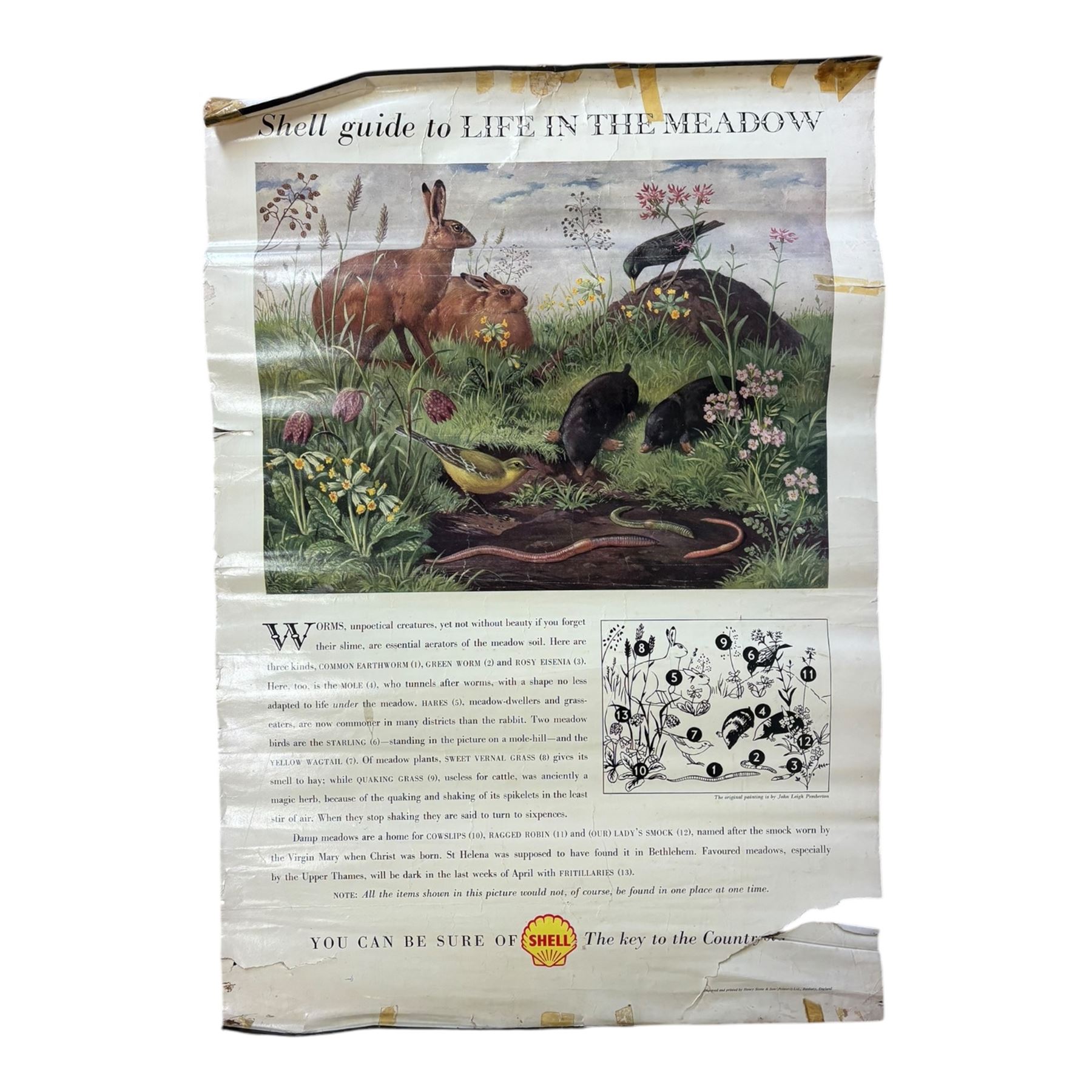 Collection thirty seven vintage county guide posters produced by Shell, H76cm, W51cm