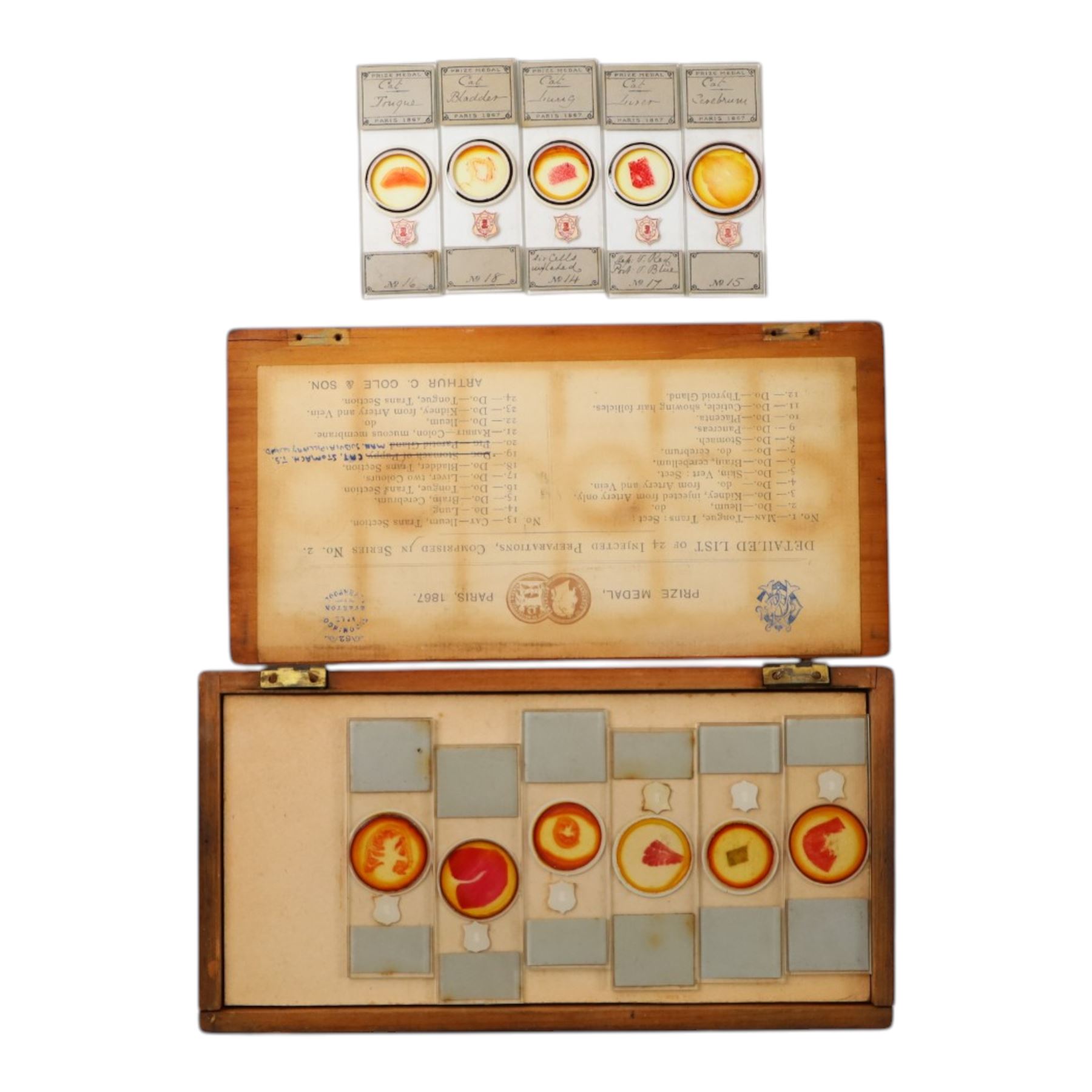 Late 19th/early 20th century Negretti and Zambra London brass microscope, with lenses, in mahogany travel case, together with a small brass field microscope and a set of prepared specimen slides