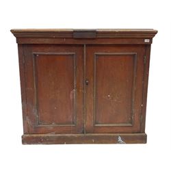 19th century solid mahogany two door cupboard