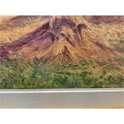 Arthur Stanley Wilkinson (British 1860-1930): 'Harvest Time on the Coast of Devon', oil on canvas signed, original title label verso 40cm x 60cm