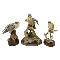 Country Artists figure of a peregrine fa