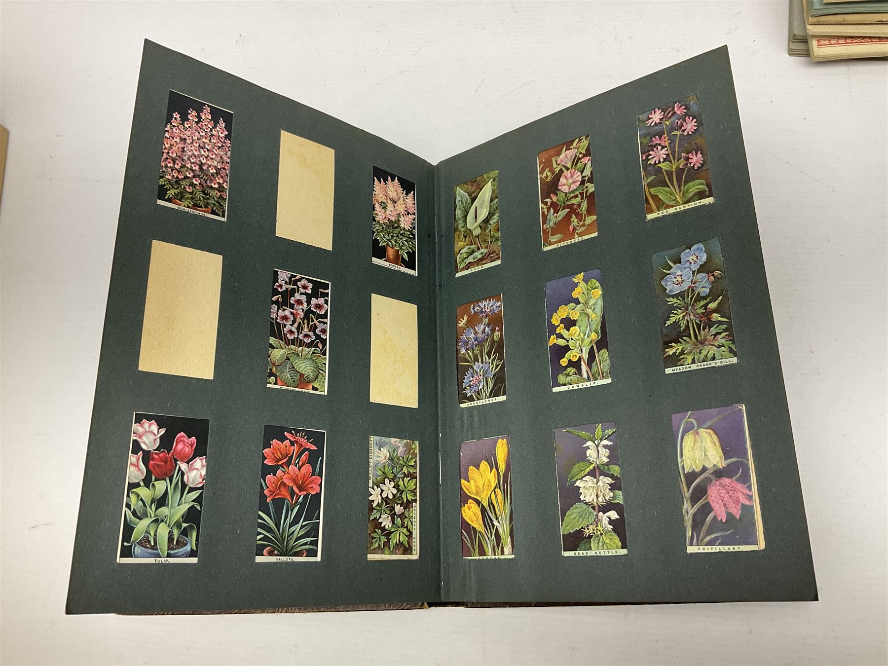 Early 20th century ephemera, to include signed photographs of Charles Boyer and Walter Pidgeon etc, a printed letter from Winston Churchill, two albums and a quantity of transfer books of Players and similar cigarette cards, including Boy Scout and Girl Guide Patrol Signs and Emblems and RAF Badges, a collection of greetings cards and postcards, a photograph album containing black and white photographs of Caius College Cambridge and guides and pamphlets on travelling Switzerland and the UK