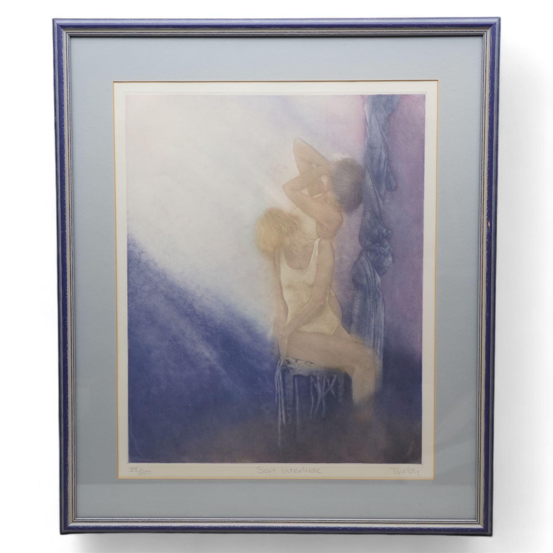 Janet Treby (British 1955-): 'Soft Interlude' 'Calm Seclusion' 'Metamorphosis II' 'Metamorphosis IV', set four limited edition colour prints signed titled and numbered in pencil max 55cm x 44cm (4)