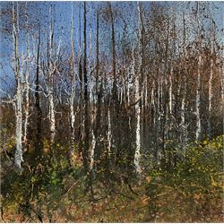 John Thornton (Northern British 1944-): 'Silver Birch and Gorse', mixed media on homemade paper signed with initials, titled on label verso 19cm x 19cm