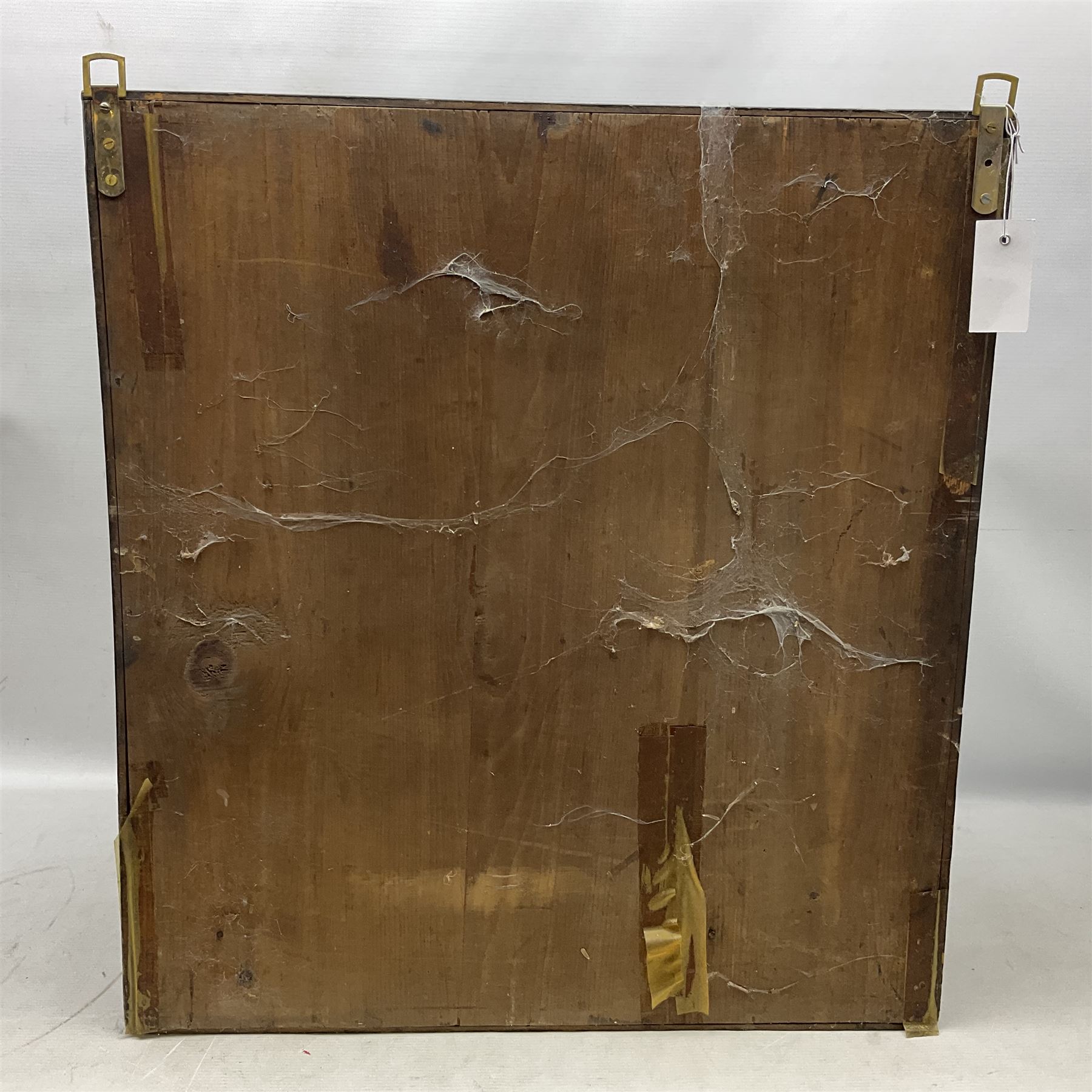 Taxidermy: 19th century cased display Red Fox (Vulpes vulpes), full adult mount in seated position with tail curled in front, in a naturalistic setting, encased within a ebonised single pane display case, H64cm, L58cm