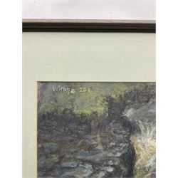 Herbert Whone (Northern British 1925-2011): 'Ingleton Falls', pastel signed titled and dated 2001, 62cm x 49cm