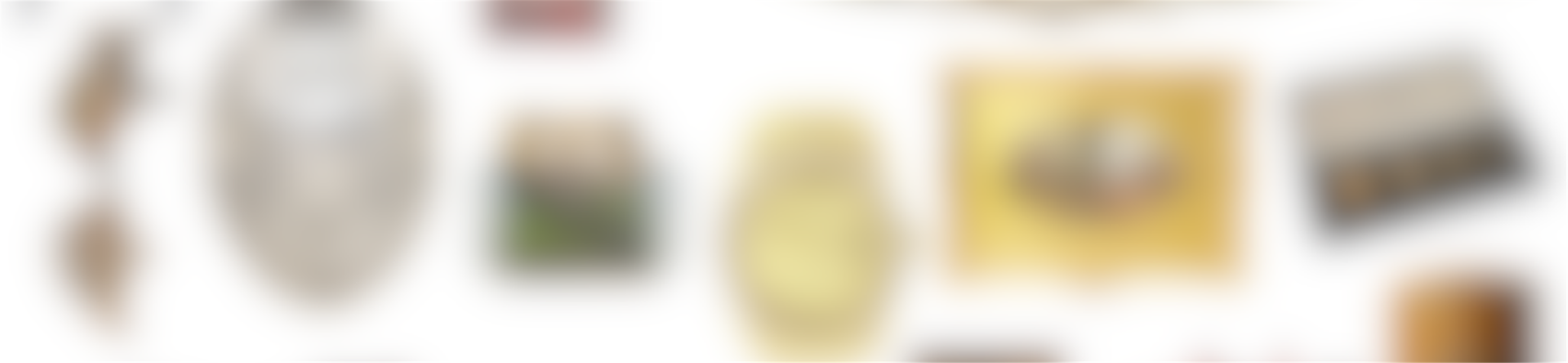 2025 in Review: Standout Results and Specialist Favourites