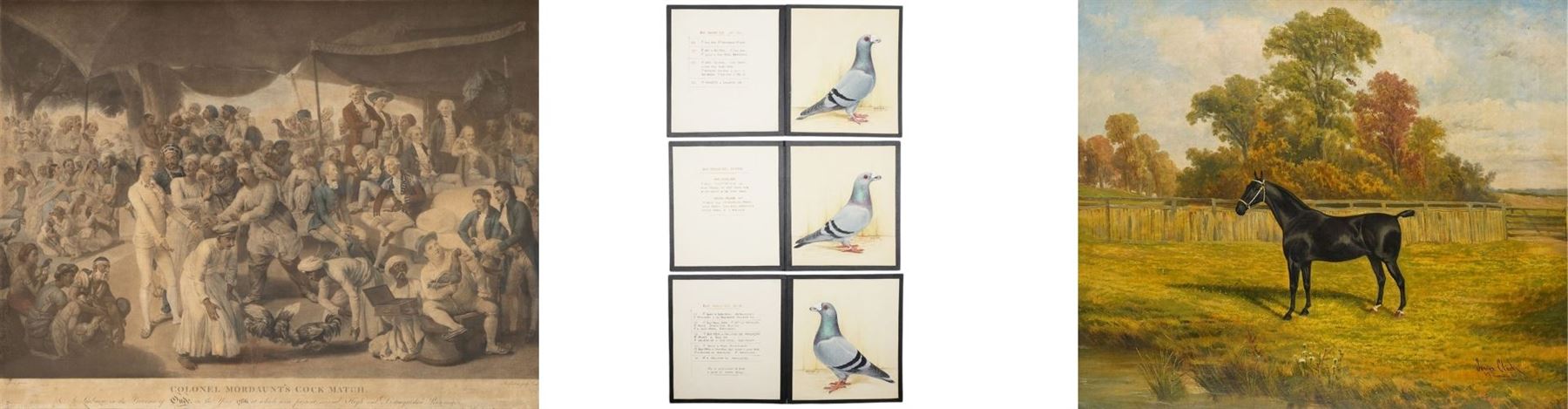 blog-images